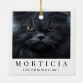 Ornement En Céramique Mémorial de photo de chat moderne minimaliste élég (Dos)