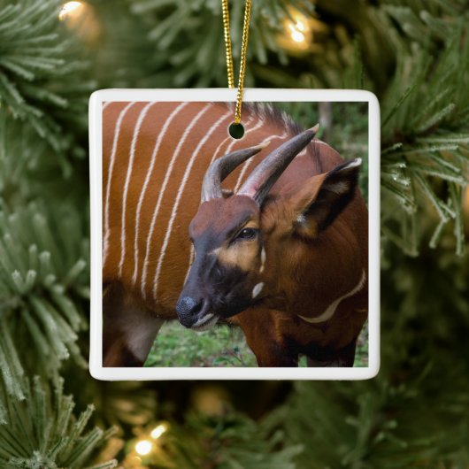 Ornement En Céramique Merry Mountain Bongo Antelope ! (Arbre)