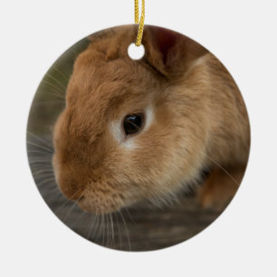 Ornement En Céramique Mignonne lapin brun
