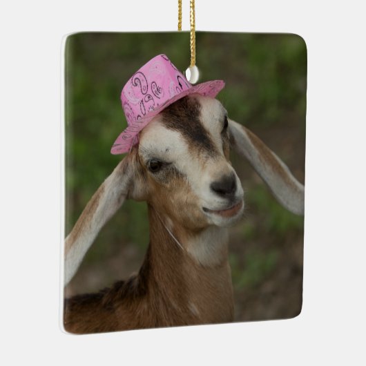 Ornement En Céramique Mini chèvre laitière nubienne dans un Casquette co (Droite)