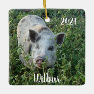 Ornement En Céramique Mini Juliana Pet Pig personnalisé