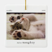 Ornement En Céramique Minimal Définir Naughty Pet Photo Keepsaké (Dos)