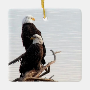 Ornement En Céramique Mississippi Flyway Dream Ornament en céramique