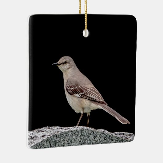 Ornement En Céramique Mockingbird sur une pierre tombale (Droite)