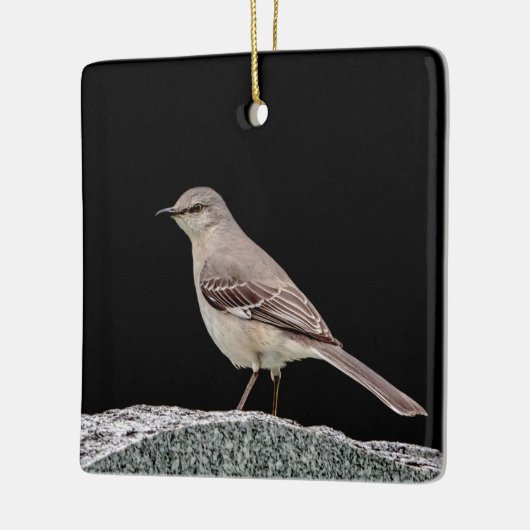 Ornement En Céramique Mockingbird sur une pierre tombale (Gauche)