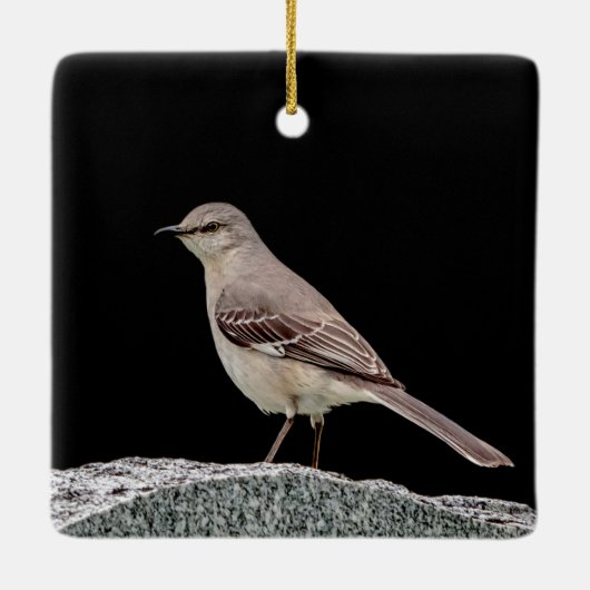 Ornement En Céramique Mockingbird sur une pierre tombale (Dos)