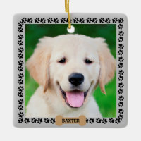 Modèle de nom de photo de chien