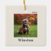 Ornement En Céramique Modern Ivory Custom Pet Name Photo (Devant)