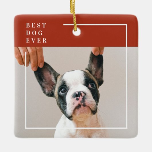 Ornement En Céramique Modern Terracotta Red Best Dog Ever Photo (Devant)