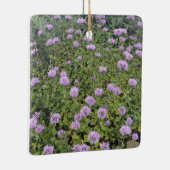 Ornement En Céramique Monnaie Coyote (Droite)