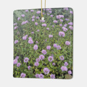 Ornement En Céramique Monnaie Coyote (Gauche)