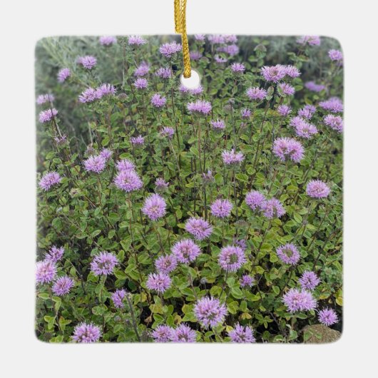 Ornement En Céramique Monnaie Coyote (Devant)