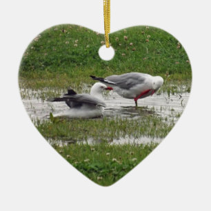 Ornement En Céramique Mouettes prenant un bain