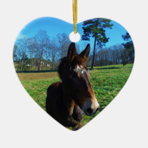 Ornement En Céramique Mule Brown et blanche