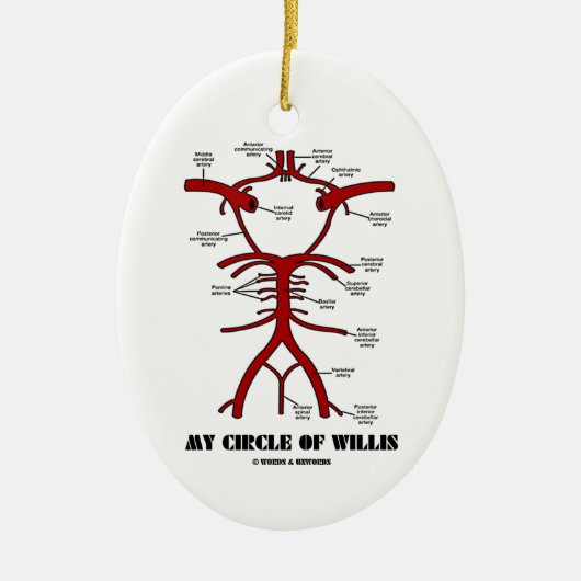 Ornement En Céramique My Circle Of Willis (Anatomical) (Devant)