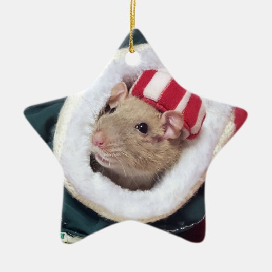 Ornement En Céramique NEW!  Pet Rat Coco Ornament (Devant)