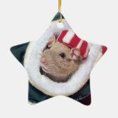 Ornement En Céramique NEW!  Pet Rat Coco Ornament (Dos)