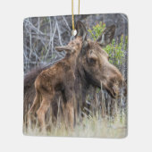 Ornement En Céramique Newborn Moose Calf Nuzzling its Mother (Gauche)