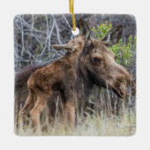 Ornement En Céramique Newborn Moose Calf Nuzzling its Mother (Devant)