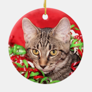 Ornement En Céramique Noël de chat tigré