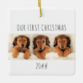 Ornement En Céramique Nos premiers Chiens De Chien De Noël Panoramique P (Devant)