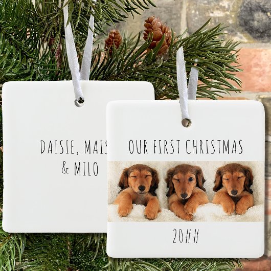 Ornement En Céramique Nos premiers Chiens De Chien De Noël Panoramique P