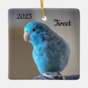 Ornement En Céramique Oiseau de perroquet bleu personnalisé