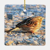 Ornement En Céramique Oiseau du Bruant (Dos)