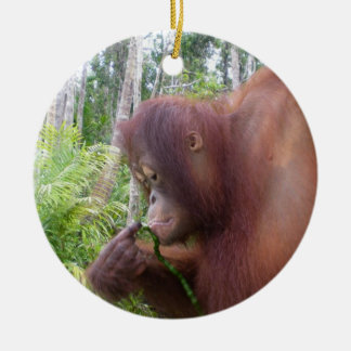 Ornement En Céramique Orang-outan de Krista au Bornéo