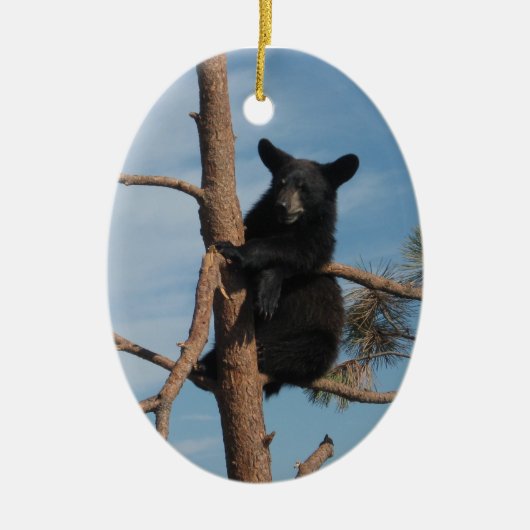 Ornement En Céramique Ours CUB dans un arbre (Devant)
