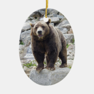Ornement En Céramique Ours kodiak debout sur un rocher