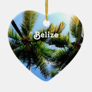 Ornement En Céramique Palmiers de Belize