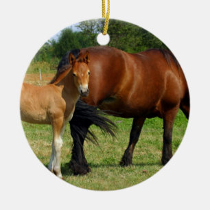 Ornement En Céramique Pâturage de l'ornement de famille de cheval