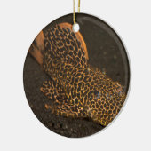 Ornement En Céramique Peckoltia Compta (Gauche)