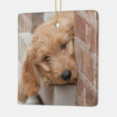 Ornement En Céramique Peecing de Goldendoodle (Gauche)