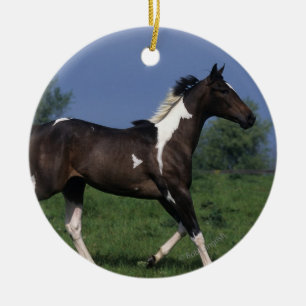 Ornement En Céramique Peignez le cheval courant 2