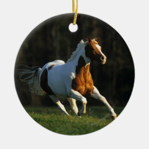 Ornement En Céramique Peignez le cheval fonctionnant rapidement