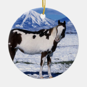 Ornement En Céramique Peignez le cheval se tenant dans la neige