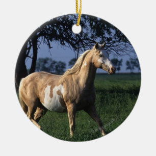 Ornement En Céramique Peignez le cheval tenant 2