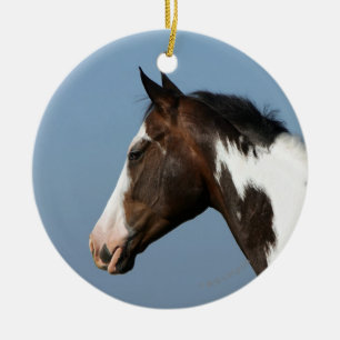 Ornement En Céramique Peignez le Headshot 1 de cheval
