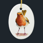 Ornement En Céramique Peinture d'aquarelle d'oiseau de Robin<br><div class="desc">C'est une peinture d'aquarelle d'un merle sur une branche d'arbre. C'est queue est dans le ciel.</div>