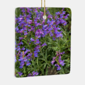 Ornement En Céramique Pentige de pied (Droite)