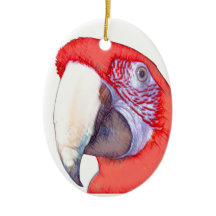 Perroquet d'ara de Greenwing