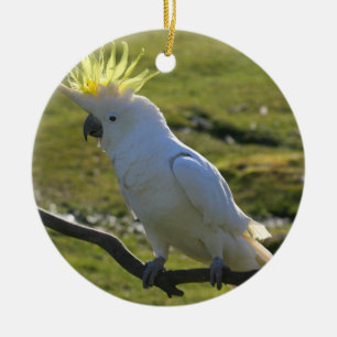 Ornement En Céramique Perroquet de cacatoès jaune et blanc