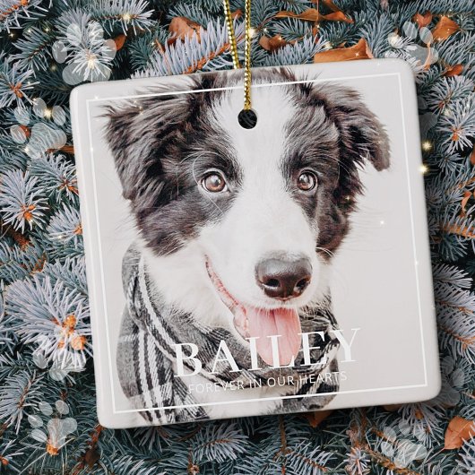 Ornement En Céramique Pet Memorial Keepsaké pour toujours dans nos coeur