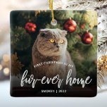 Ornement En Céramique Pet Photo First Christmas Forever Home Silver<br><div class="desc">Commémorez le premier Noël de votre animal de compagnie dans sa nouvelle maison avec ce magnifique ornement de gardien moderne. Le texte dit "Premier Noël dans ma maison de fourrure", avec les mots "fourrure-maison" dans l'élégant script de fausse feuille d'argent. Remplacez l'exemple d'image par une photo de votre chat ou...</div>