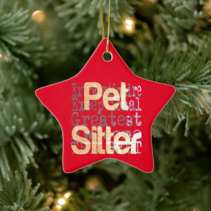 Ornement En Céramique Pet Sitter Extraordinaire