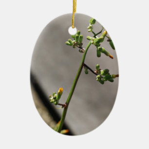 Ornement En Céramique Petit Bug, Petite Fleur