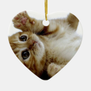 Ornement En Céramique petit chat tigré mignon de gingembre d'animal