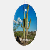 Ornement En Céramique Phoenix, Tucson, Mesa, Scottsdale, Goodyear (Droite)